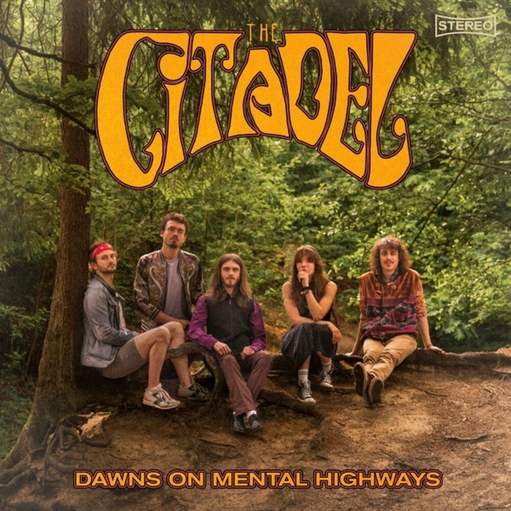 Dawns on Mental Highways [LP] Vinyl Record
