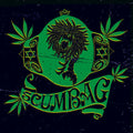 Scumbag - Scumbag - Vinyl Record