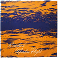 Rainbird - Maiden Flight - Music CD