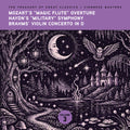 Ljubljana Symphony Orchestra & Slovak Phil Orch - Treasury Of Great Classics - Viennese Vol. 3. - Music CD