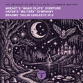 The Treasury of Great Classics - Viennese Masters - Vol. 3. Mozart's "Magic Flute" Overture, Haydn's "Military" Symphony, Brahms Music CD