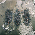 Show Me The Body - Alone Together [CD]