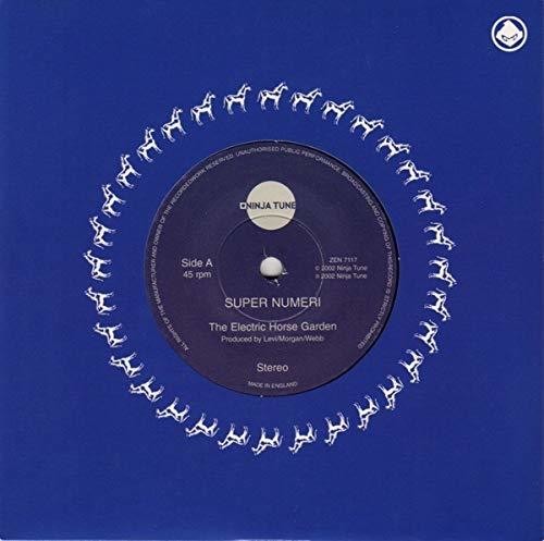 Super Numeri - Electric Horse Garden - Vinyl Record