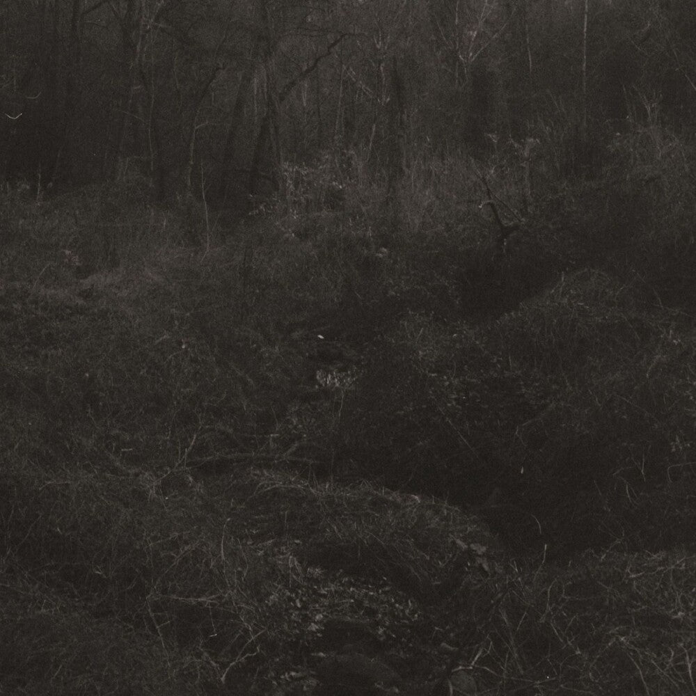 Lesley Mok - Transient [Download Included]