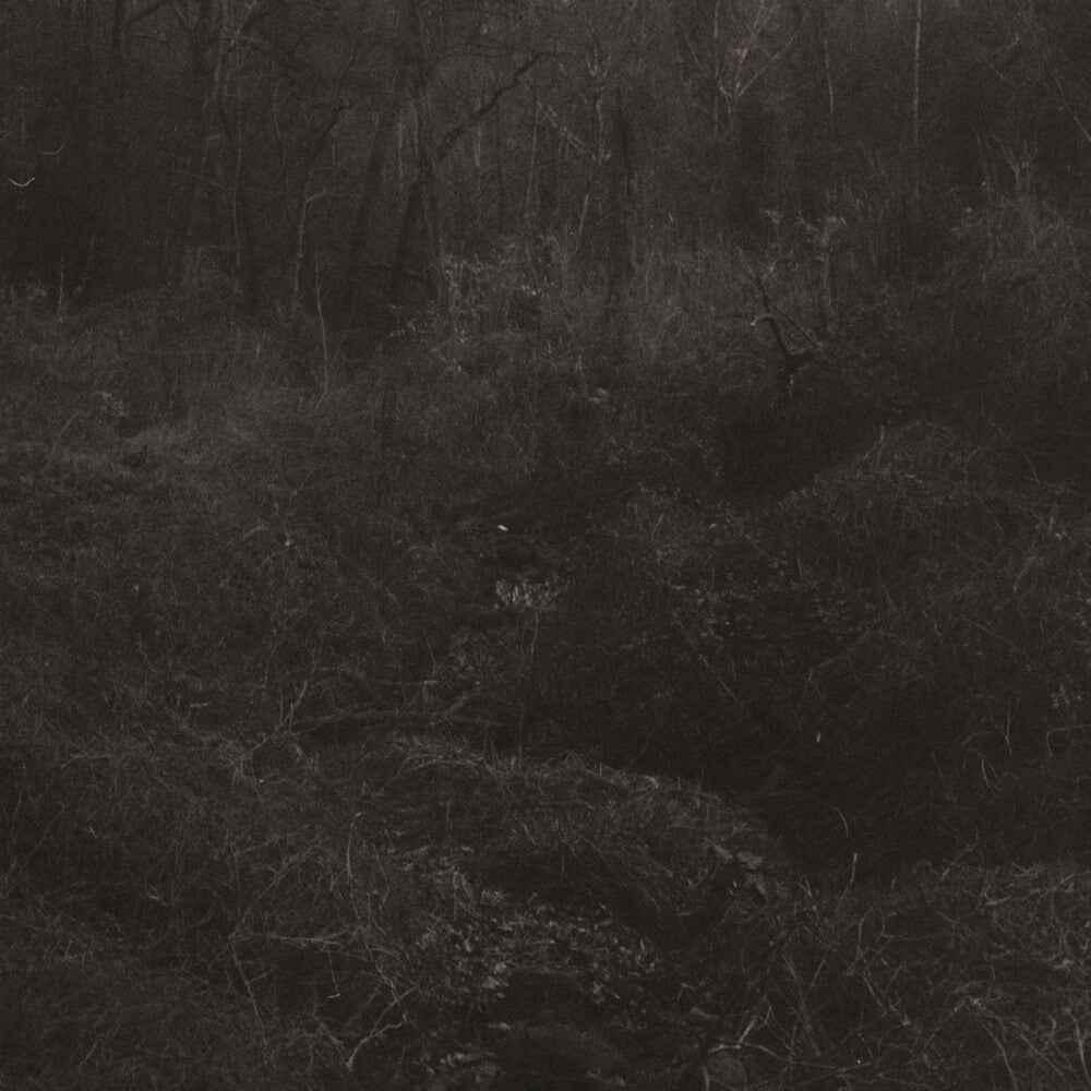 Transient [Download Included] Vinyl Record