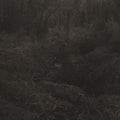 Mok,lesley - Transient - Vinyl Record