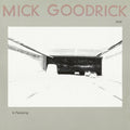 Mick Goodrick - In Pas(s)ing (ecm Luminessence Series) [LP]