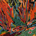 Terra Incognita [LP] Vinyl Record