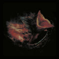Pre-Order: Nobody's Coming To Save You [Black] Vinyl Record