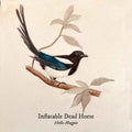 Hello Magpie Music CD
