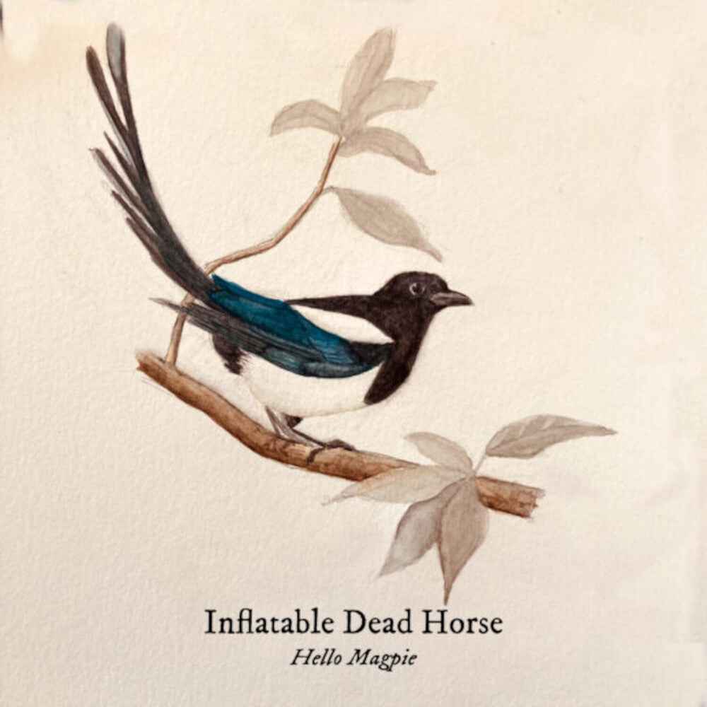 Hello Magpie [LP] Vinyl Record