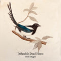 Hello Magpie [LP] Vinyl Record
