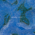 834.194 [180g] Vinyl Record