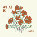 Nois - What Is Nois [CD]
