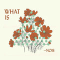 What Is Nois Music CD