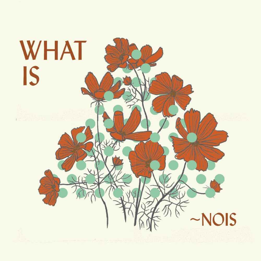 What Is Nois Music CD