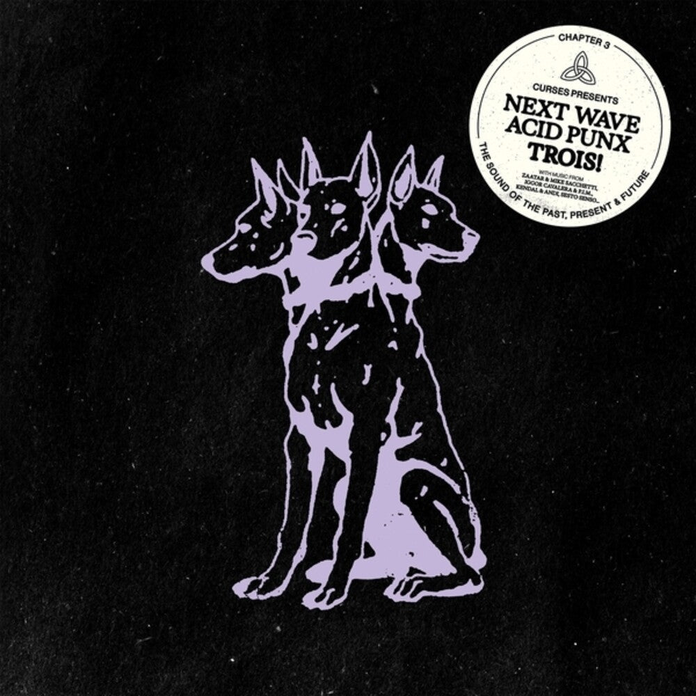 Next Wave Acid Punx Trois (chapter 3) [2LP] Vinyl Record