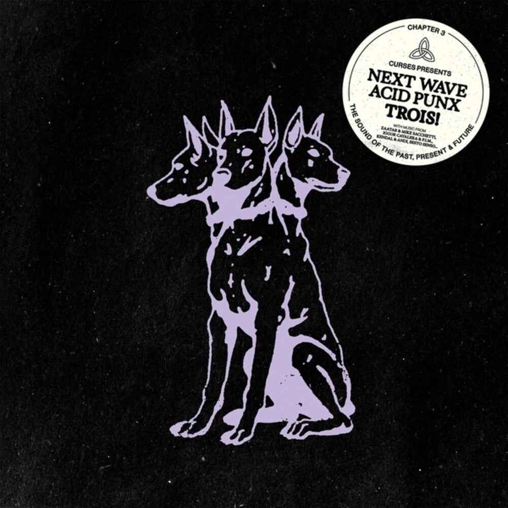 Next Wave Acid Punx Trois (chapter 3) [2LP] Vinyl Record