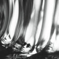 Pre-Order: Ty Segall - Chrome [LP]