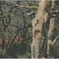 Anomoanon - Asleep Many Years In The Wood - Music CD
