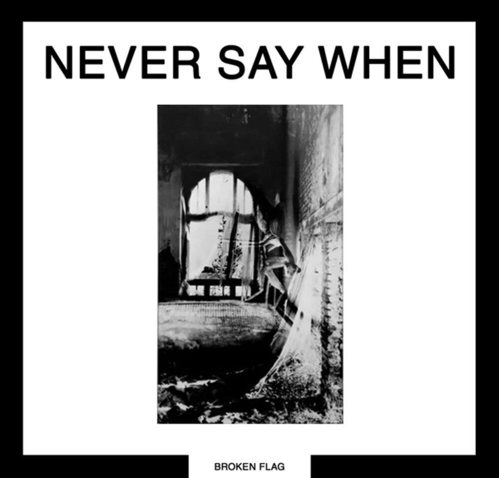 Various Artists - Never Say When (2lp) [LP]