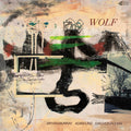 Bryan Murray - Wolf [LP]