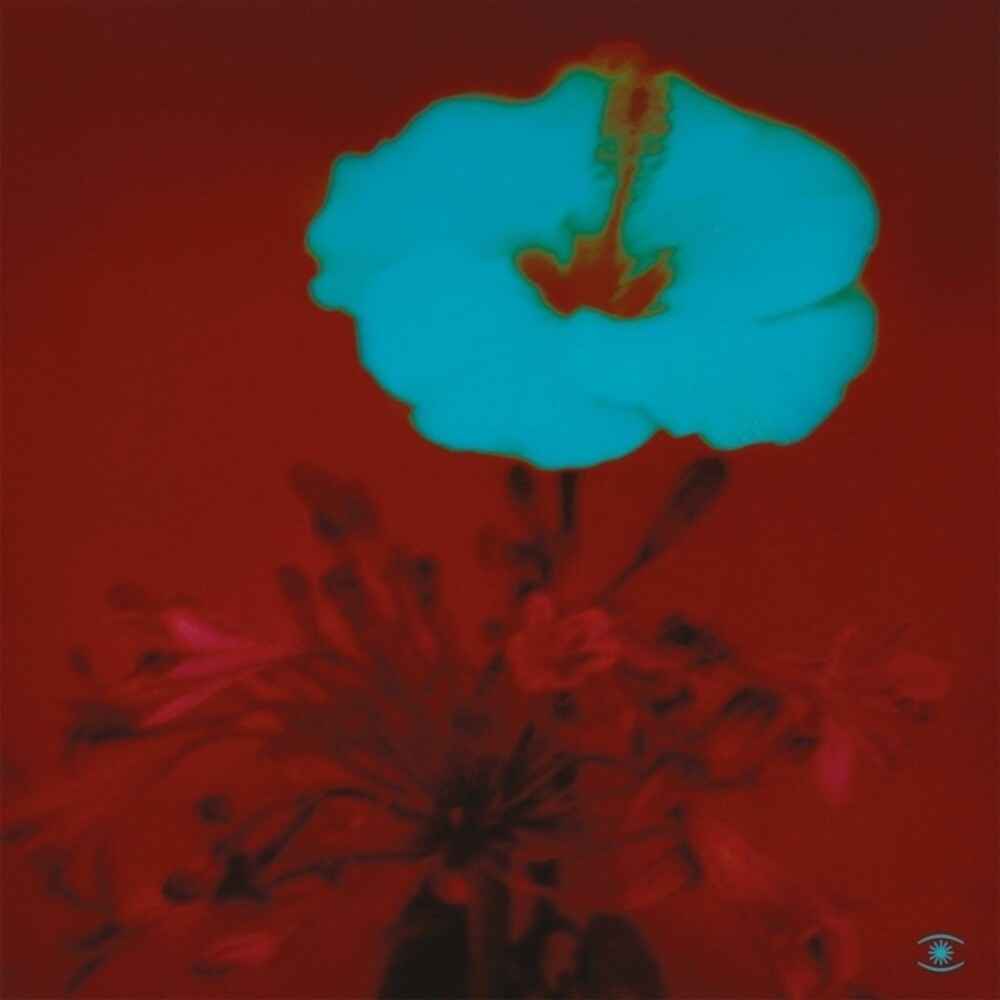 Sunrise & the Way We Live [2LP] Vinyl Record