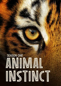 Animal Instinct: Season 1 - Animal Instinct: Season 1 - DVD