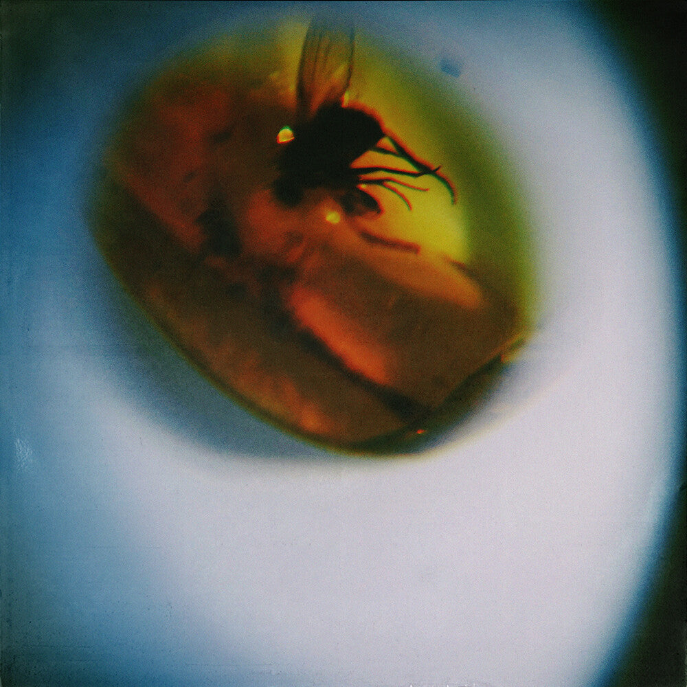 Traditional Noise [Translucent Fly Green] Vinyl Record