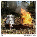 Dream Is Over - Clear W/ Red & Orange Swirl [Clear Vinyl] Vinyl Record