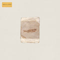 Pre-Order: Friend World Music CD