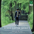 Hu Jie & Lu Yi & Wang Tzu-wen Chen - Scandinavian Wood Ii: Danish Clarinet Music [CD]