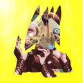 chimeric [LP] Vinyl Record