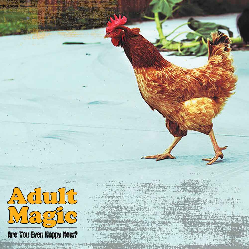 Are You Even Happy Now [LP] Vinyl Record