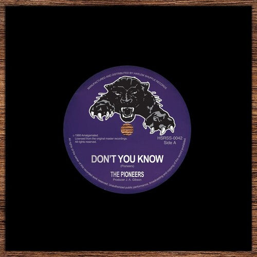 Pioneers - Don't You Know / Me Naw Go A Believe - Vinyl Record