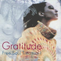 Various Artists - Gratitude: Suburbia Meets Ultra-Vybe Free Soul Treasure 1 - LP Vinyl