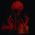 Pre-Order: Desanguinate - Desanguinate [LP]