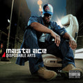 Masta Ace - Long Hot Summer [CD]
