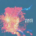 Never Say Die Music CD