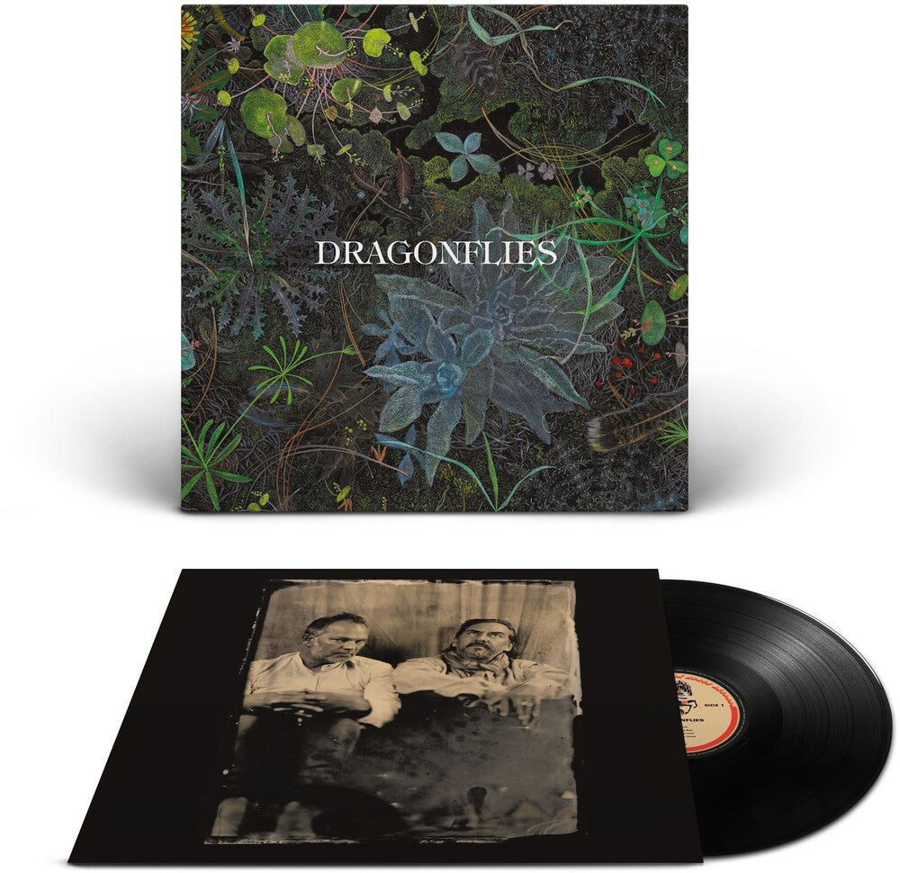 Pre-Order: Dragonflies - Dragonflies [Black]