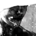 Purgate - Leavings [CD]