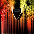 Pre-Order: Vitalic - Flashmob (2026 Edition) [Limited Edition]