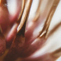 Nastia - TECH041 [12" Vinyl]