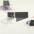 Christer Bothen  / Ambarchi,Oren / Berthling,Johan - Serpentine [LP]