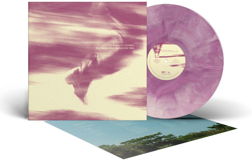 Pre-Order: Bees Made Honey in the Vein Tree - In Between Strides [Colored Vinyl] (Ofgv)