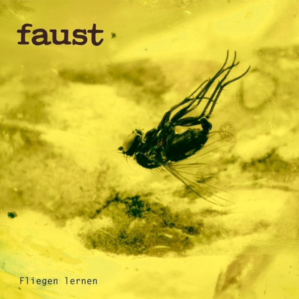 Pre-Order: Faust - Fliegen Lernen [CD]
