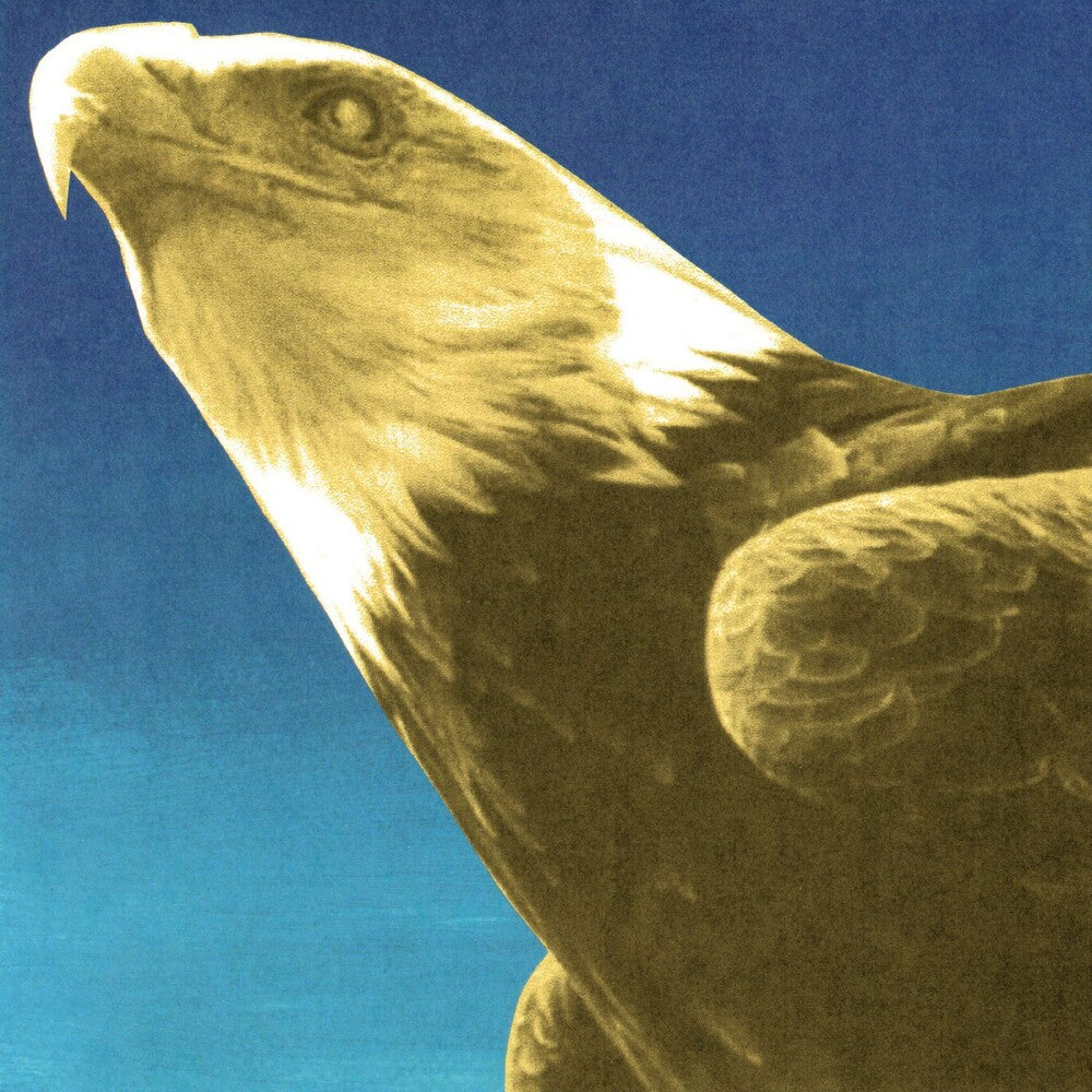 Pre-Order: Protomartyr - Hotel Usona [LP]