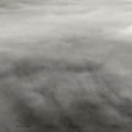 Pre-Order: Lynn Wright - Before The Sinking Plains [LP]