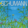 Pierre Fouchenneret – Schumann: Complete Chamber Music & Vn Con (Live CD) Music CD