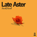 Late Aster – Recall Recall (LP Vinyl) Vinyl Record